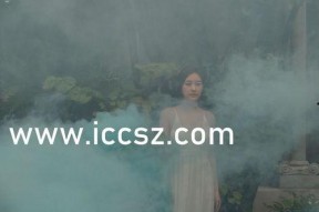 国产精品中文字幕在线观看